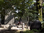 p1010467.jpg