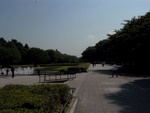 p1010471.jpg