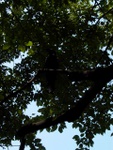 p1010473.jpg