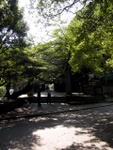 p1010474.jpg