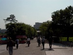 p1010477.jpg
