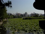 p1010479.jpg