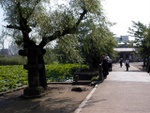p1010480.jpg