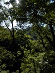 p1010517.jpg
