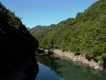 p1010530.jpg