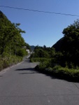 p1010532.jpg