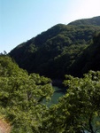 p1010533.jpg