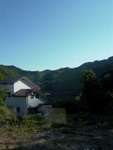 p1010536.jpg