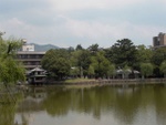 p1010554.jpg