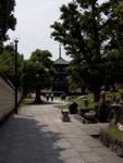 p1010556.jpg