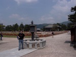 p1010558.jpg