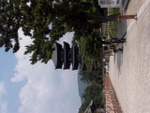p1010560.jpg