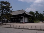 p1010563.jpg