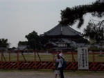 p1010567.jpg
