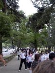 p1010569.jpg