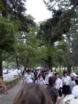 p1010570.jpg