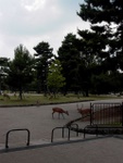 p1010574.jpg