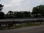 p1010575.jpg