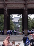 p1010579.jpg