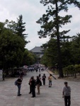p1010583.jpg