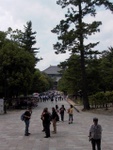 p1010584.jpg
