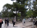 p1010585.jpg