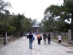 p1010586.jpg