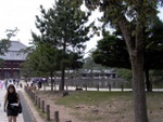 p1010588.jpg