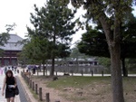 p1010589.jpg