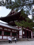 p1010592.jpg