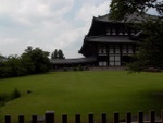 p1010593.jpg