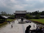p1010602.jpg
