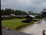 p1010604.jpg