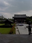p1010627.jpg