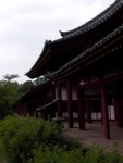p1010631.jpg