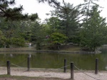 p1010634.jpg