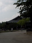 p1010643.jpg