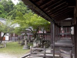 p1010645.jpg