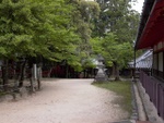 p1010647.jpg