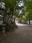 p1010648.jpg