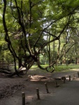 p1010655.jpg