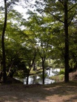 p1010656.jpg