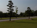 p1010659.jpg