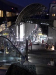 p1010673.jpg