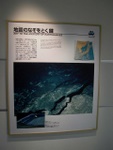 p1010729.jpg