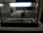 p1010732.jpg