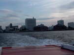 p1010771.jpg