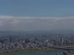 p1010810.jpg