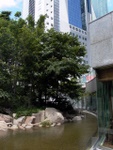 p1010816.jpg
