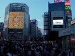p1010857.jpg